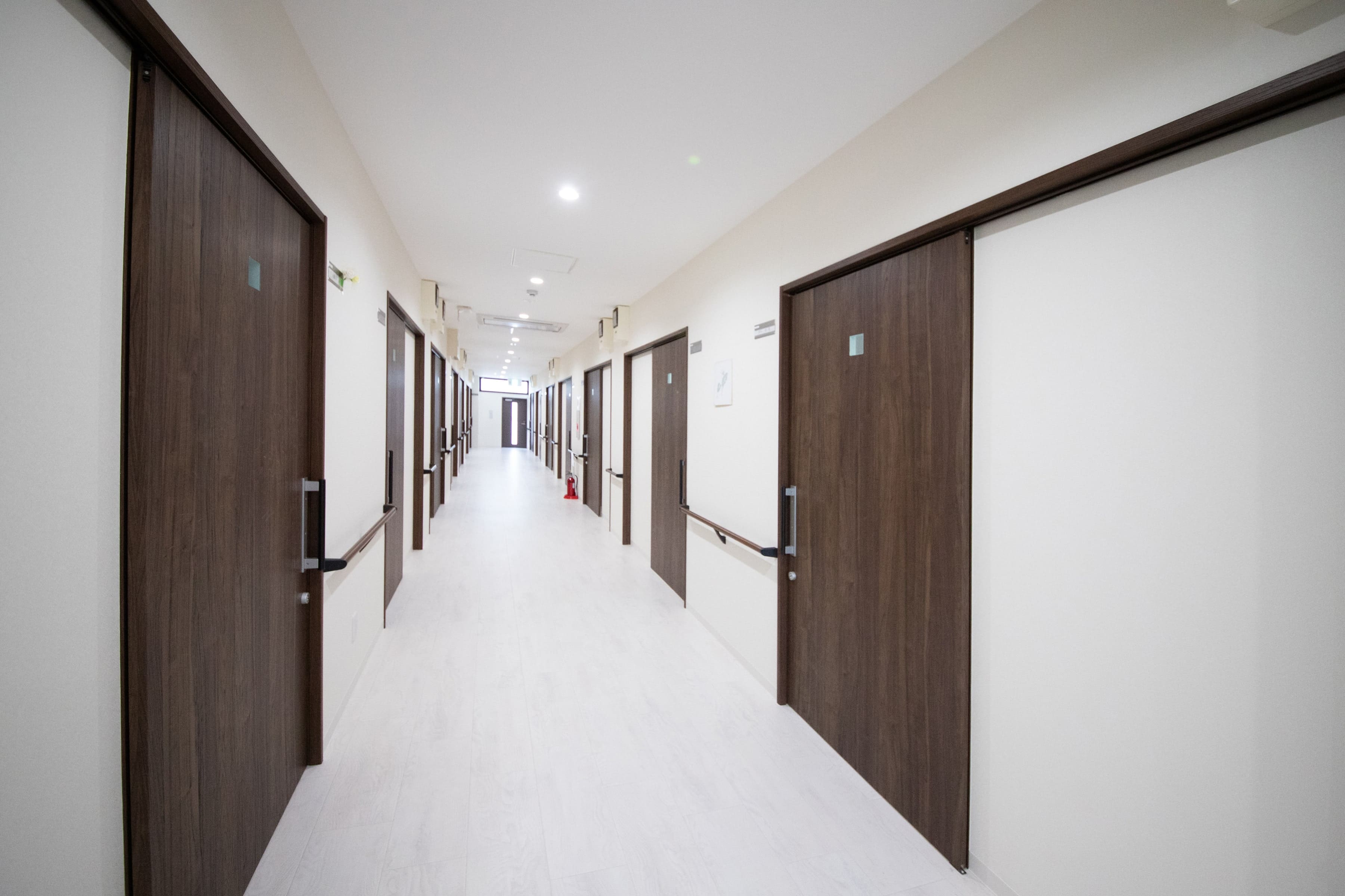 明るい食堂の様子